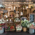 Business 1 image TEAM SEVEN - HIGH FASHION HAIR Sun Tanning in Te Awamutu WKO