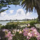 Business 22 image THE A TEAM MIKE PERO REAL ESTATE West Auckland Real Estate Agents in Auckland NTL