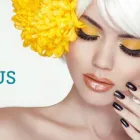 Business 1 image THE HAIRDRESSING ACADEMY Industry Training Organisations in Tauranga BOP