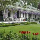 Business 1 image THE PEPPERTREE LUXURY ACCOMMODATION Motels & Lodges in Blenheim Area MBH