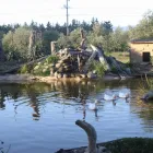 Business 2 image THE PEPPERTREE LUXURY ACCOMMODATION Motels & Lodges in Blenheim Area MBH