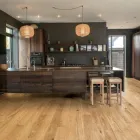 Business 1 image THE WOODEN FLOOR COMPANY Timber Flooring in Auckland City AUK