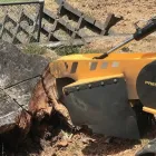 Business 3 image TREE FACTOR LTD Tree Services in Auckland City AUK