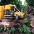 Business 5 image TREE FACTOR LTD Tree Services in Auckland City AUK