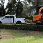 Business 7 image TREE FACTOR LTD Tree Services in Auckland City AUK