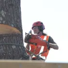 Business 3 image TREE MACHINE SERVICES Tree Services in New Plymouth TKI