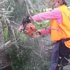 Business 4 image TREE MACHINE SERVICES Tree Services in New Plymouth TKI