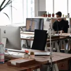 Business 4 image TREE TECH NZ Tree Services in Tauranga BOP