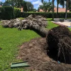 Business 6 image TREE TECH NZ Tree Services in Tauranga BOP