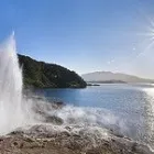 Business 3 image WAIMANGU VOLCANIC VALLEY LTD Wildlife Tour Operators in Rotorua BOP