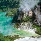 Business 4 image WAIMANGU VOLCANIC VALLEY LTD Wildlife Tour Operators in Rotorua BOP