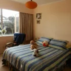 Business 1 image WALNUTS B&B Bed and Breakfast Accommodation in Auckland NTL
