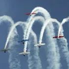 Business 4 image WARBIRDS OVER WANAKA Tours & Sightseeing in Wanaka Area OTA