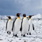 Business 6 image WORLD JOURNEYS Travel Agents in Auckland NTL