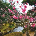 Business 7 image WORLD JOURNEYS Travel Agents in Auckland NTL