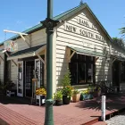Business 5 image YOUNG AT ART STUDIO Artists in Tauranga BOP