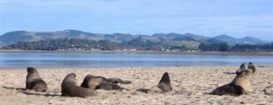 Business 1 image ALEXIS MOTOR LODGE Motels Dunedin in Dunedin OTA