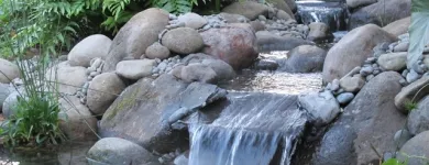 Business 7 image AQUATIC LIFESTYLES Water Gardens in Tauranga BOP