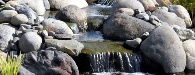 Business 8 image AQUATIC LIFESTYLES Water Gardens in Tauranga BOP