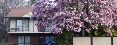 Business 3 image ARGYLE ON THE PARK Motels & Lodges in Christchurch CAN