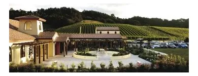 Business 1 image AUCKLAND WEDDINGS Auckland Weddings in Auckland NTL