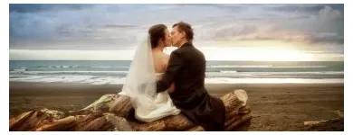 Business 2 image AUCKLAND WEDDINGS Auckland Weddings in Auckland NTL