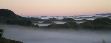 Business 2 image BACK COUNTRY ACCOMMODATION Holiday Parks & Camping Grounds in Stratford Area TKI