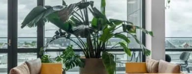 Business 6 image BIZDOJO - AUCKLAND, CIDER BUILDING Virtual Office Rental in Auckland NTL