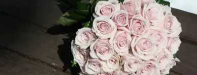 Business 2 image BLOOM FLOWERS Gifts in Queenstown Area OTA