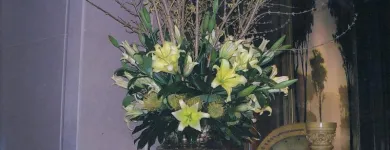 Business 6 image BLOOM FLOWERS Gifts in Queenstown Area OTA