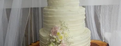 Business 20 image CAKEAWAY LTD Wedding Cakes in Mount Maunganui BOP
