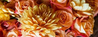 Business 3 image CENTRAL CITY FLOWERS Florists in Christchurch CAN