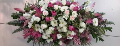Business 5 image CENTRAL CITY FLOWERS Florists in Christchurch CAN