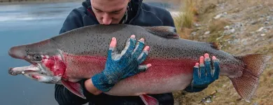 Business 5 image COMPLETE ANGLER Zempire in Christchurch CAN