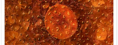 Business 2 image CREATIVE PHOTOGRAPHY WORKSHOPS - MIKE LANGFORD & JACKIE RANKEN Photography Workshops in Twizel CAN