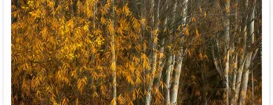 Business 4 image CREATIVE PHOTOGRAPHY WORKSHOPS - MIKE LANGFORD & JACKIE RANKEN Photography Workshops in Twizel CAN