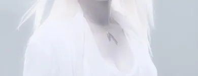 Business 4 image DAVID HAMILTON PHOTOGRAPHY Photographers in Wellington City WGN