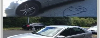 Business 5 image FIRST CLASS AUTO LTD. Paint Protection in Auckland NTL