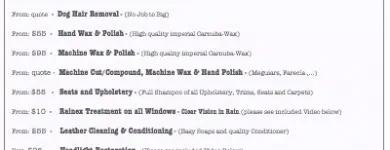 Business 13 image FIRST CLASS AUTO LTD. Paint Protection in Auckland NTL