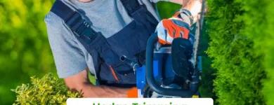 Business 2 image GARDEN EXPERTS Garden Maintenance in Auckland City AUK