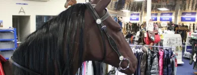 Business 4 image HOOFCAMP SADDLERY Saddlers in Whakatane BOP