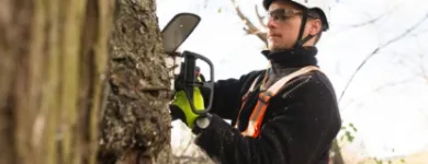 Business 1 image JIM'S TREES Tree Services in Auckland City AUK