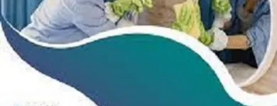 Business 3 image MSM CLEANING SERVICES Cleaners - Commercial in Auckland City AUK