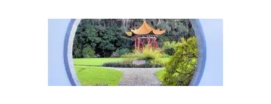 Business 4 image NZ VAN LINES NEW PLYMOUTH MOVING COMPANY Transportation Services in New Plymouth TKI