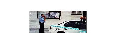 Business 3 image PROWLER SECURITY LTD Security Systems in Tauranga BOP