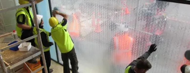Business 7 image REQUISITE BESPOKE SECURITY SOLUTIONS Steel Window in Auckland NTL