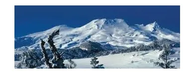 Business 3 image RUAPEHU MOUNTAIN MOTEL AND LODGE Ski Fields & Services in Taupo Area BOP