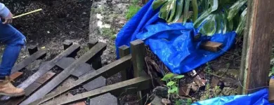 Business 7 image SOULSCAPE Landscaping in Auckland NTL