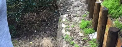 Business 12 image SOULSCAPE Landscaping in Auckland NTL