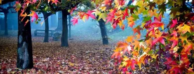 Business 25 image SOULSCAPE Landscaping in Auckland NTL